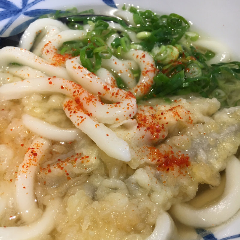 ごぼう天うどん(大福うどん エキサイド店)
