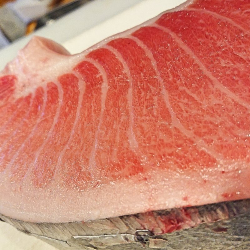 天然本まぐろ(燈火)