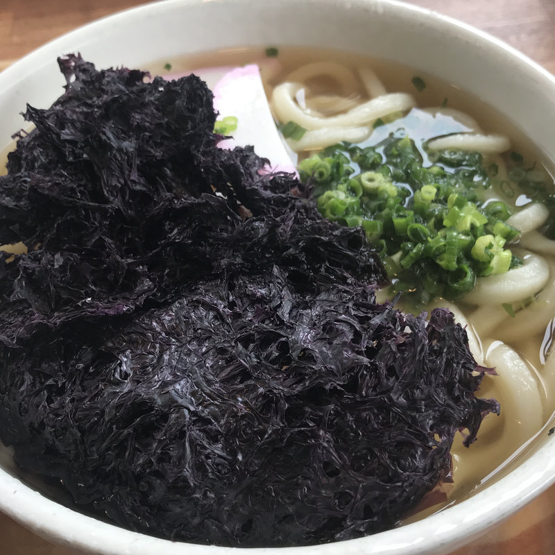 海苔うどん(季節限定)(エビス （EBISU）)