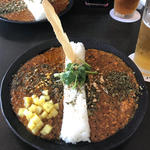 2種がけカレー(アンドビール)