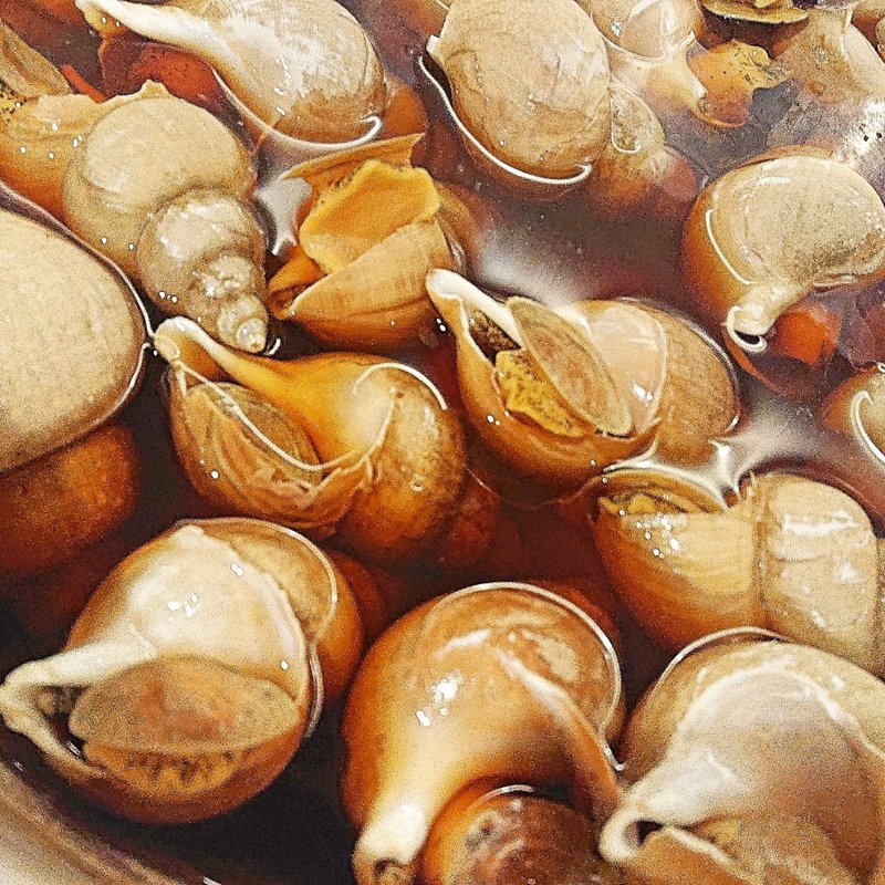 白バイ貝の煮付け(燈火)