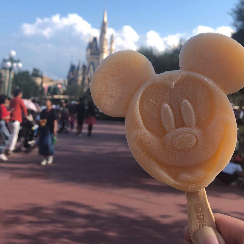 (ディズニーランド)