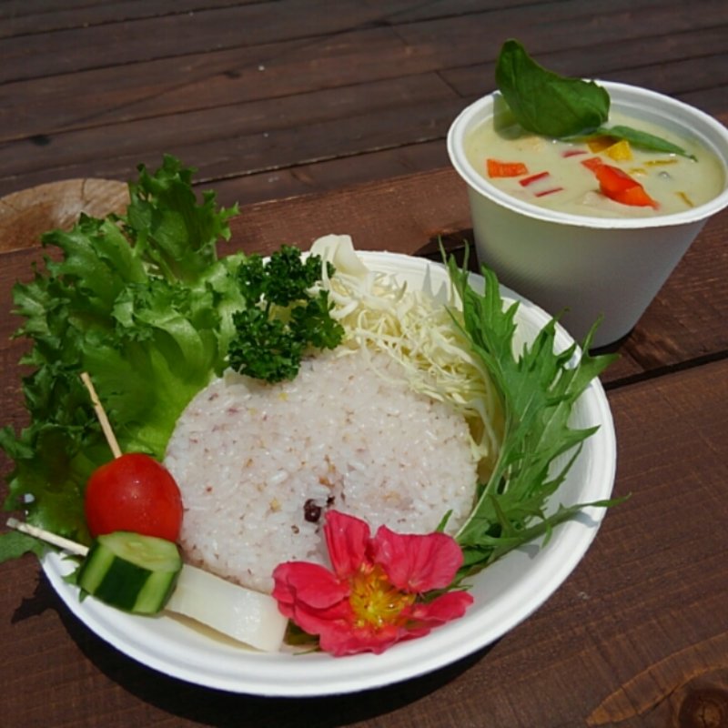 グリーンカレー(薬膳カレーかくたに LOCASSE TAMBA )