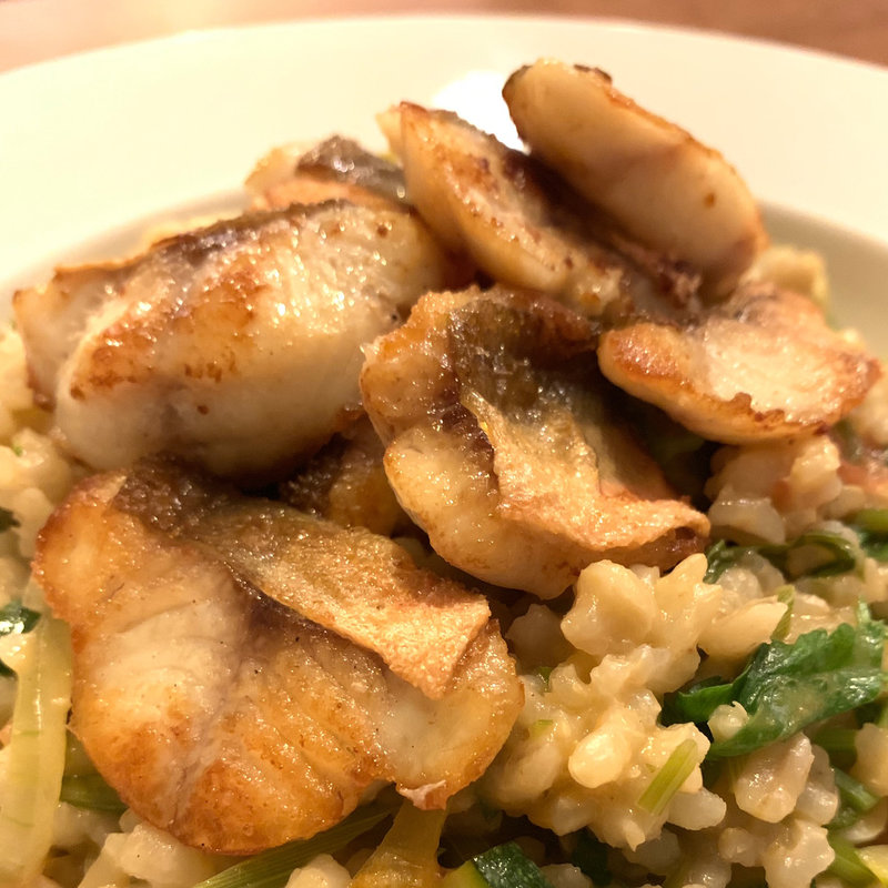 ホウボウのもち麦・玄米のトムヤムクリームリゾット(花吹雪 )