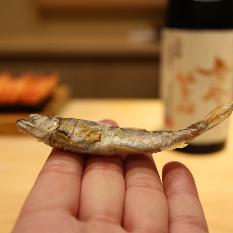 稚鮎(鮨 なんば )