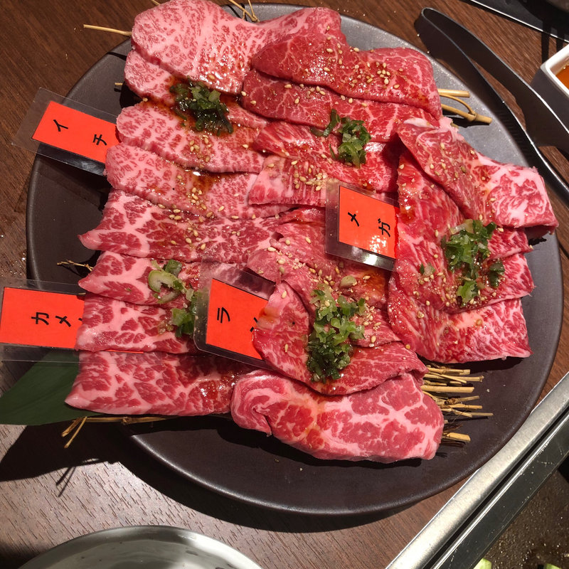 イチボ カメノコ ランプ メガネ(焼肉ぽんが田町店)