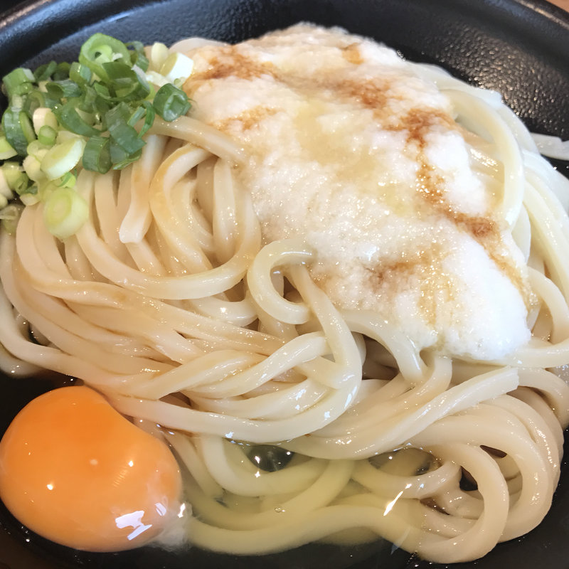 とろろぶっかけうどん冷(将八うどん 豊中店 )