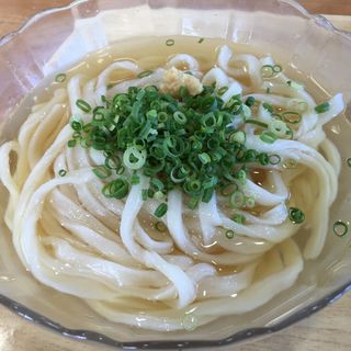 冷やしかけうどん(大木戸 （おおきど）)