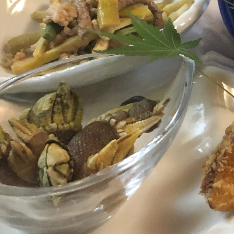 亀の手(拍子木 （ひょうしぎ）)