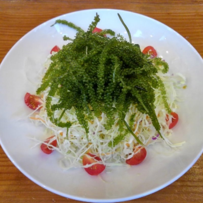 海ブドウサラダ(HAN’S 松山店 （ジャンボステーキハウス　ハンズ）)