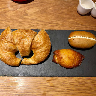 サリュー(テーラ テール )