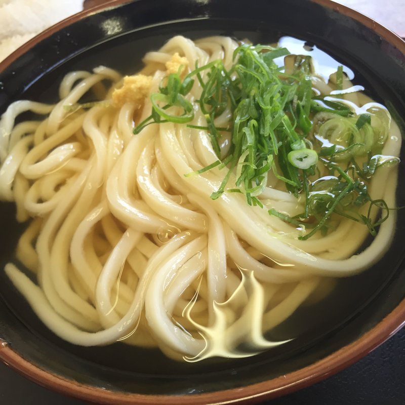 冷かけうどん(梅木うどん店 )