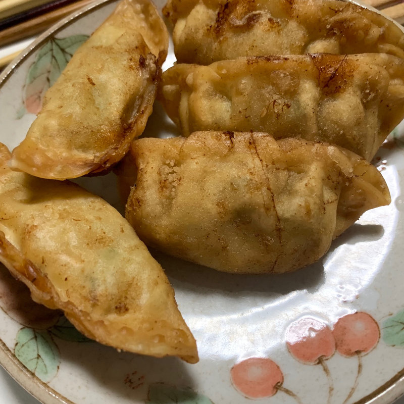 揚げ餃子(鳥大)