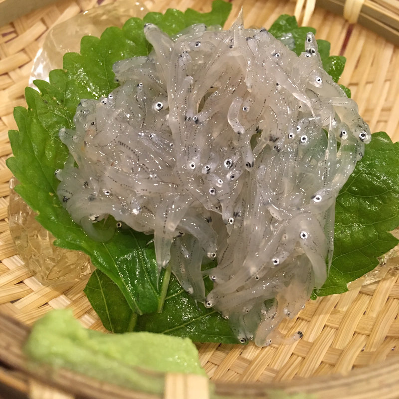 しらすの刺身(季節料理 小伝馬)