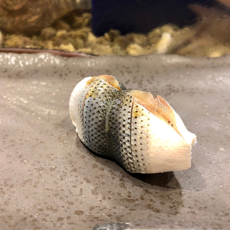 こはだ(北浜寿し・美夏)