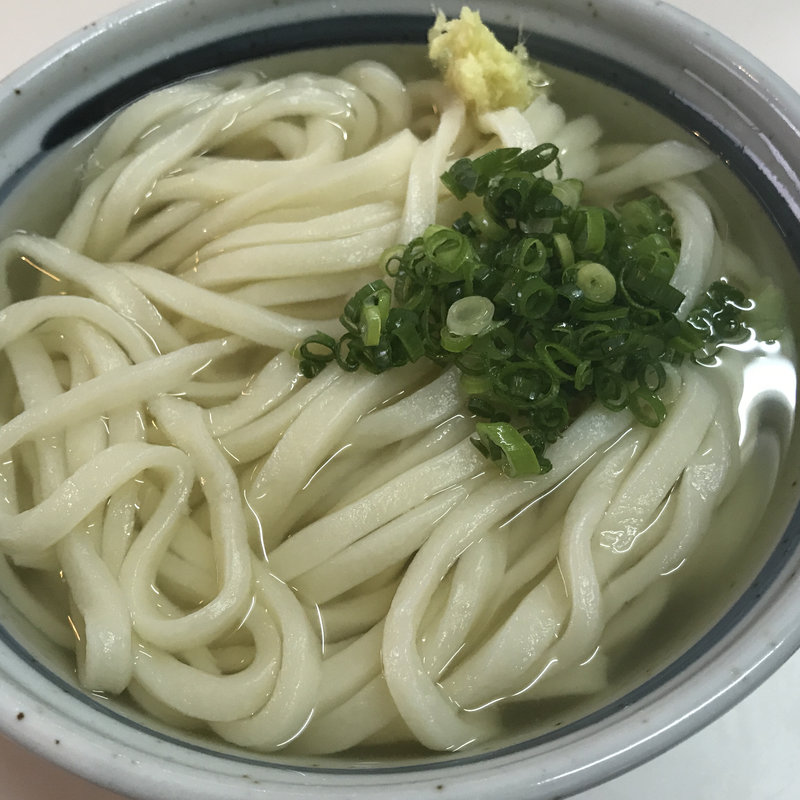 かけうどん(手打ちうどん 小野 （小野うどん）)