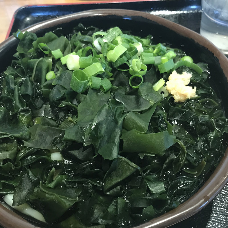 わかめうどん(うどん屋 一 本大店 （いち）)