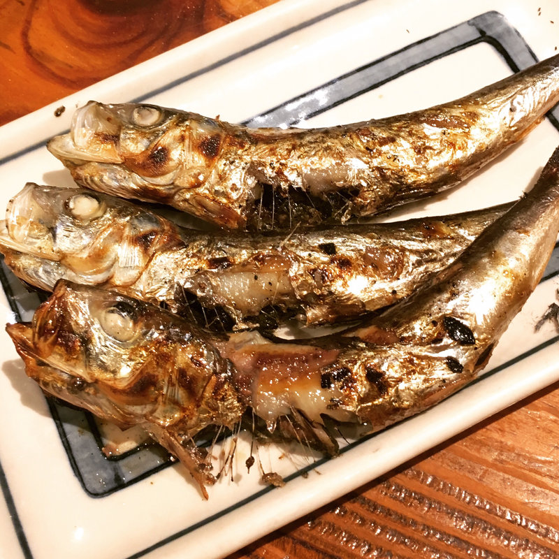 メザシ(もつ焼 大統領 本店)