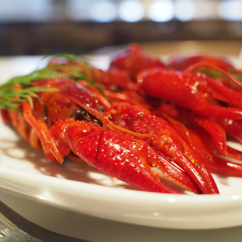 クレイフィッシュ(ザリガニ)(IKEA鶴浜)