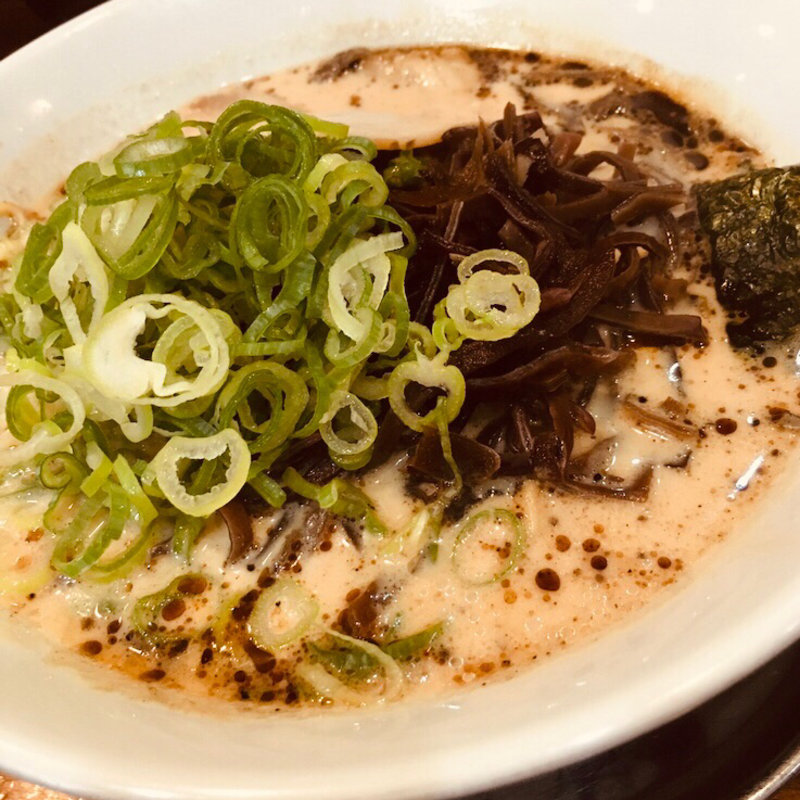 豚骨醤油ラーメン(伍代目哲麺 平塚金目店 （ゴダイメテツメン）)