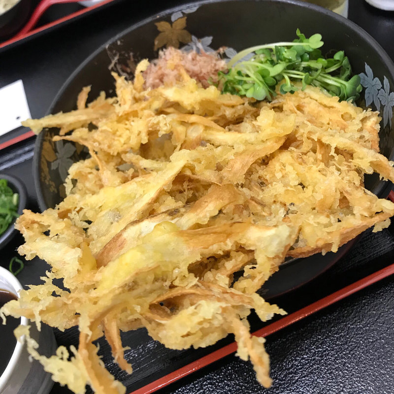 ごぼう天うどん(肥前うどん 翔 （しょう）)