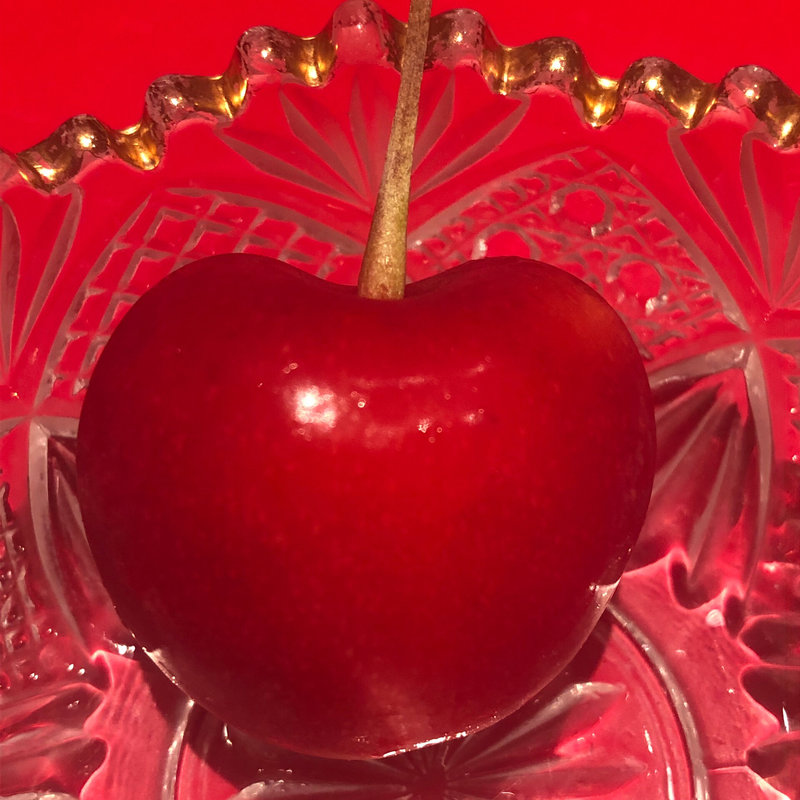 ジェノハート(賛否両論)