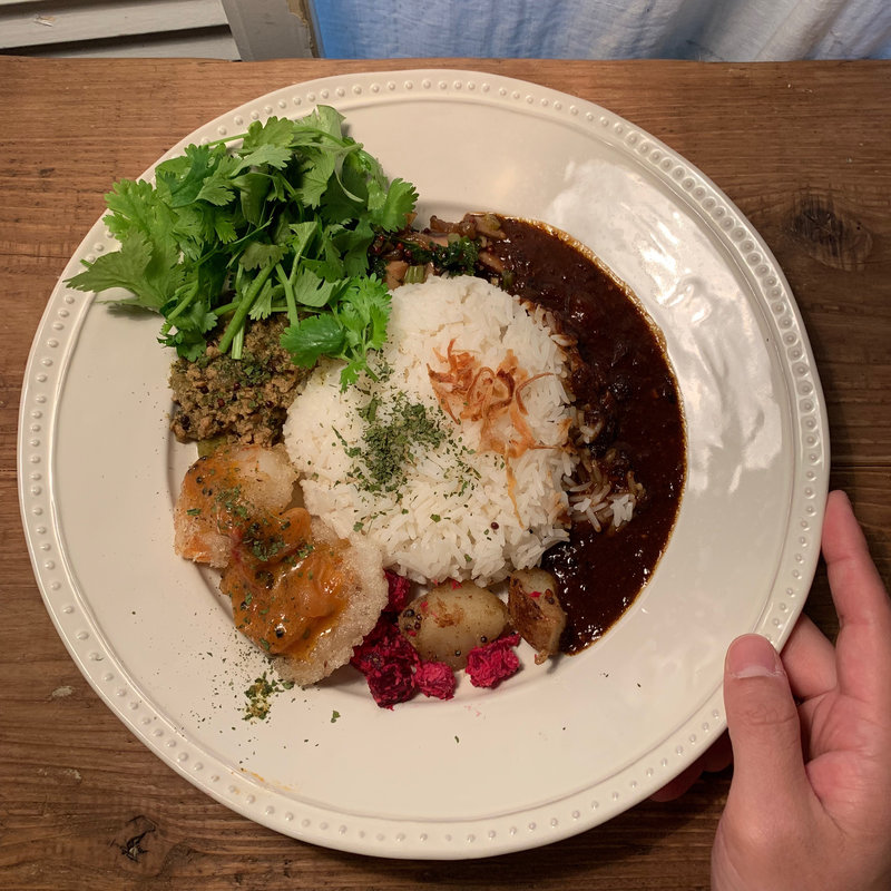 ビーフシチュー、海老とすもも、深緑キーマ(256)