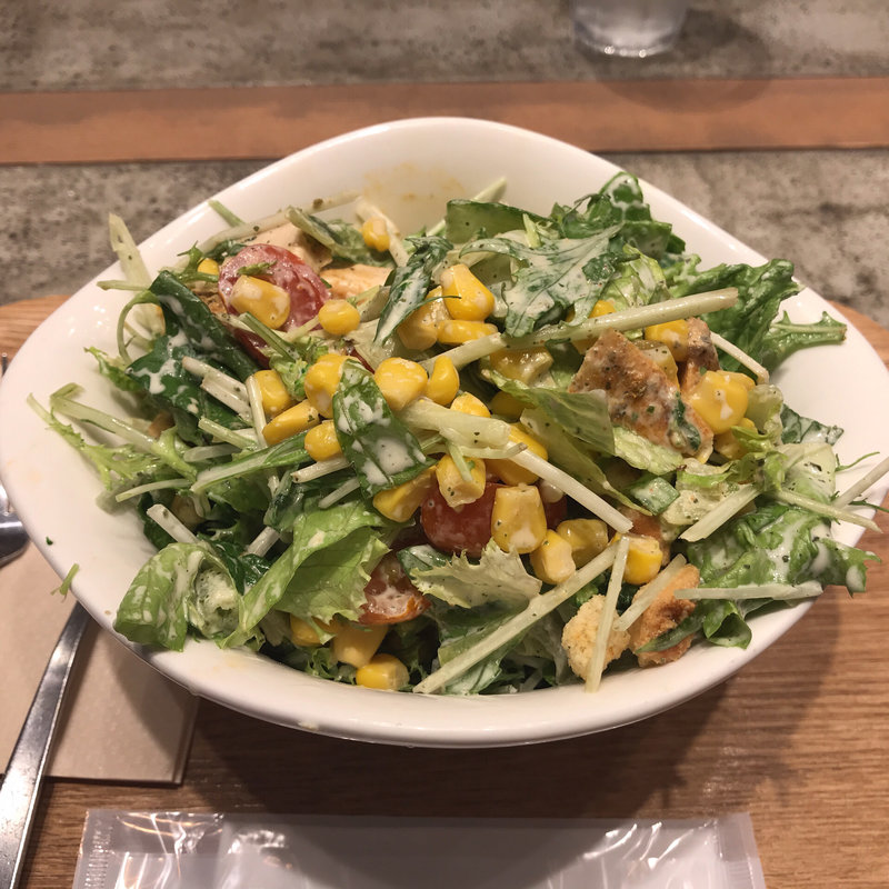 カスタマイズ(サラダストップ！)