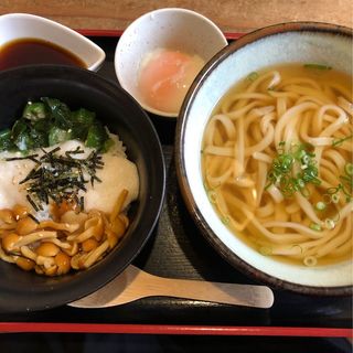 ネバネバ丼&うどん(麺や ほり野)
