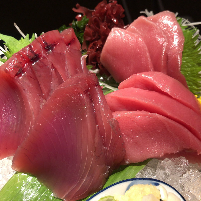 本マグロ & かつお刺し(ろばたの炉 神楽坂通り店 )