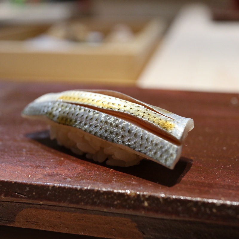 小鰭(千住しげ)