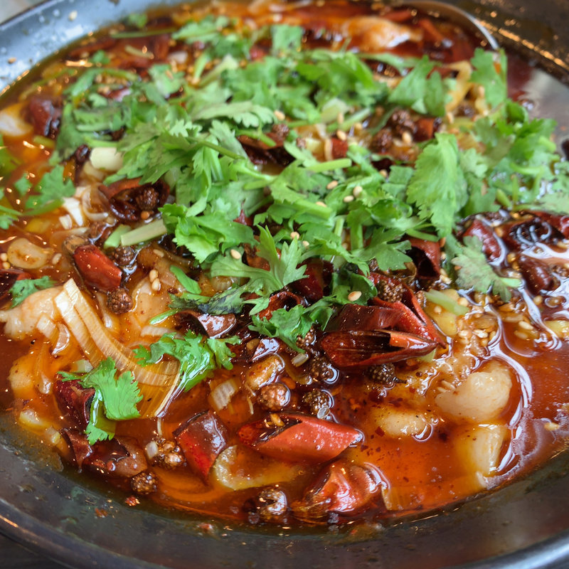 豚肉の四川風煮込み(陳家菜房)