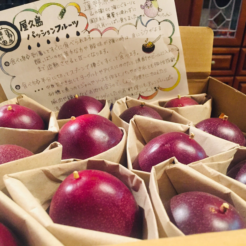 屋久島パッションフルーツ(蓬野原果樹園)