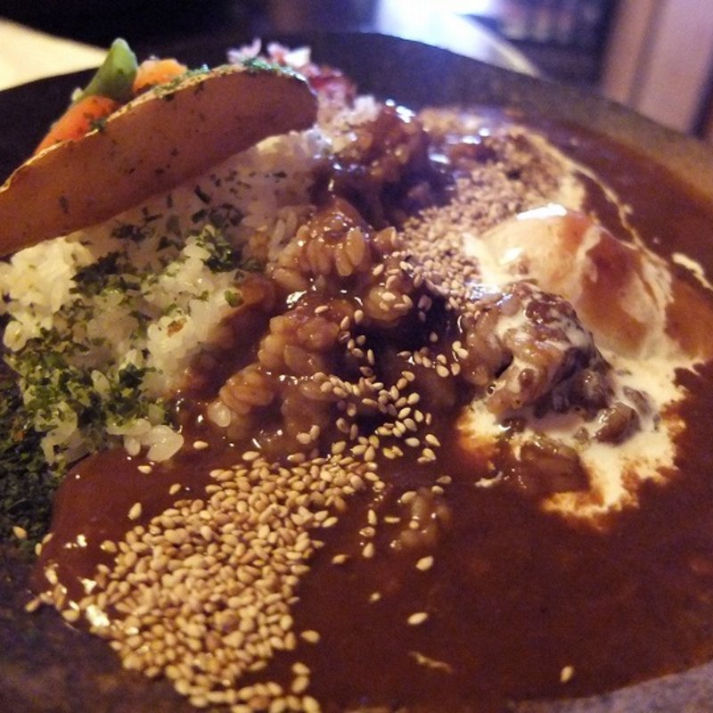 H・S・Eハヤシカレー(弱尊)