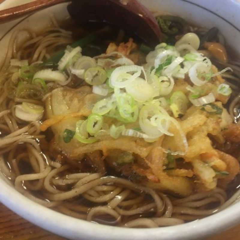 そば+天ぷら(蕎麦 はないち)