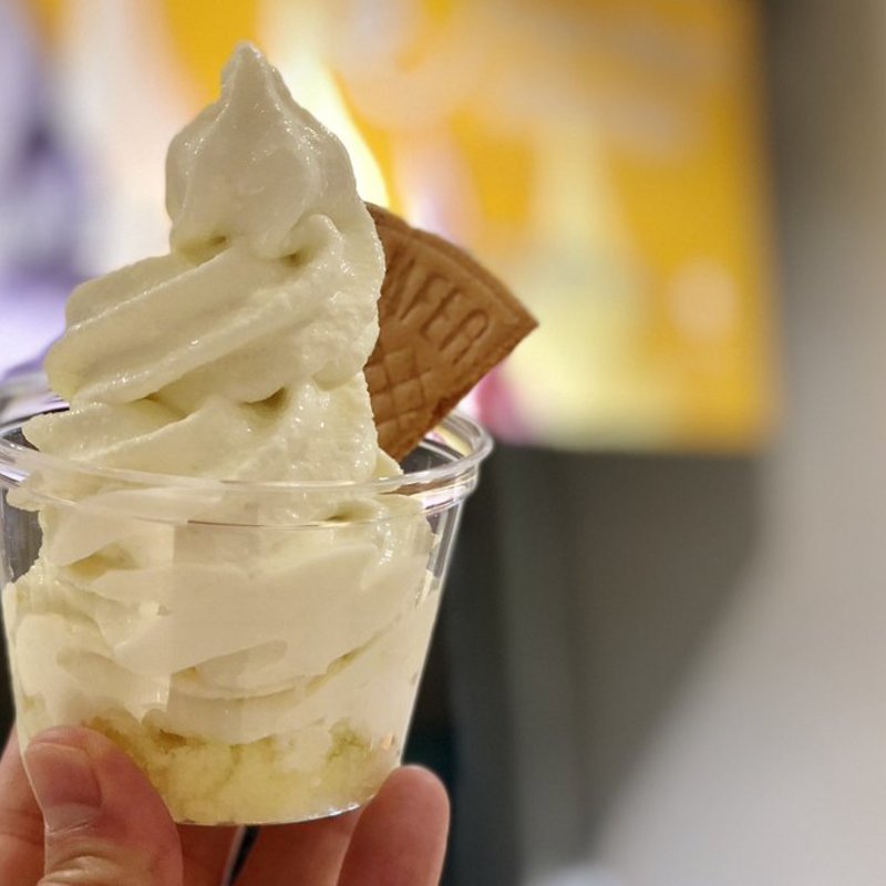 静岡マスクメロンソフト(サン・フルーツ ジューススタンド 銀座三越店 )