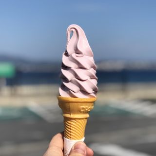 紅芋ソフトクリーム(おっぱ乳業 道の駅許田やんばる物産センター店  )