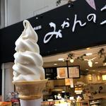 坊っちゃん牛乳ソフトクリーム(えひめ果実倶楽部みかんの木 ハイカラ通り店 )