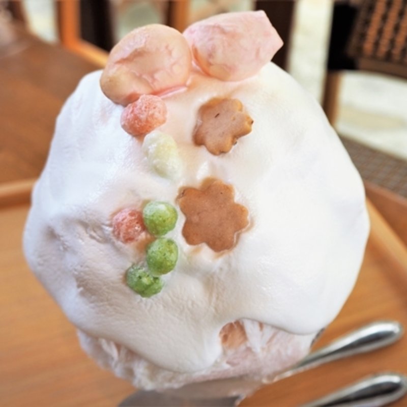 桜かき氷 (Ciao （チャオ）)