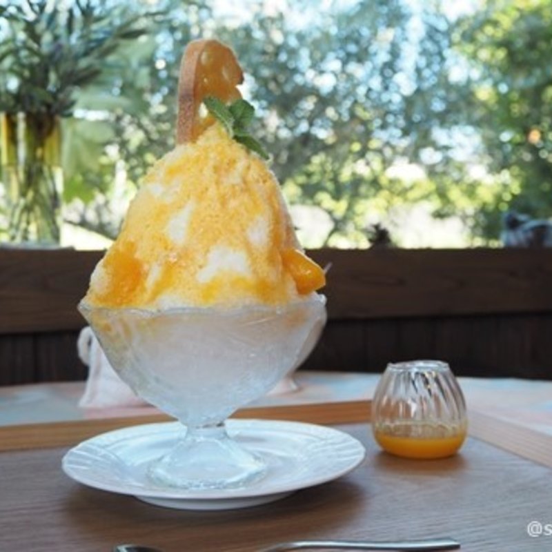 かき氷 マンゴー (アルペンローゼ 神功本店 （Alpenrose）)