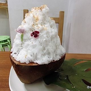 ココナッツかき氷(山口果物 （ヤマグチクダモノ）)