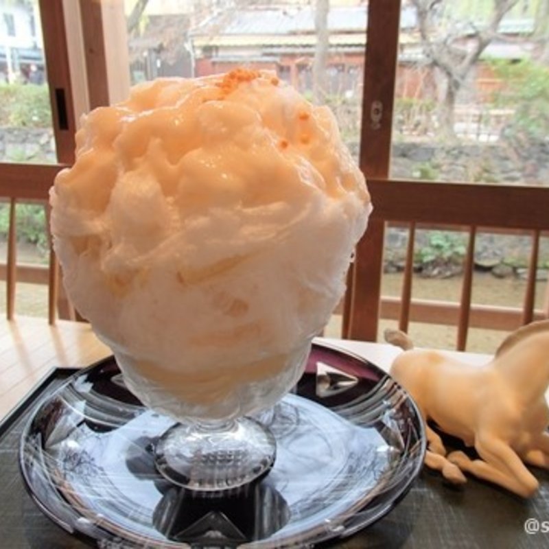 月の桂搾りたて酒粕と白味噌(お茶と酒　たすき )