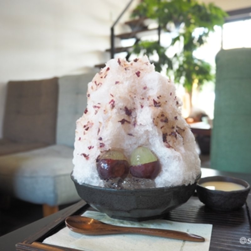 かき氷 高級ニューピオーネ(茶々処 ひとの和心)