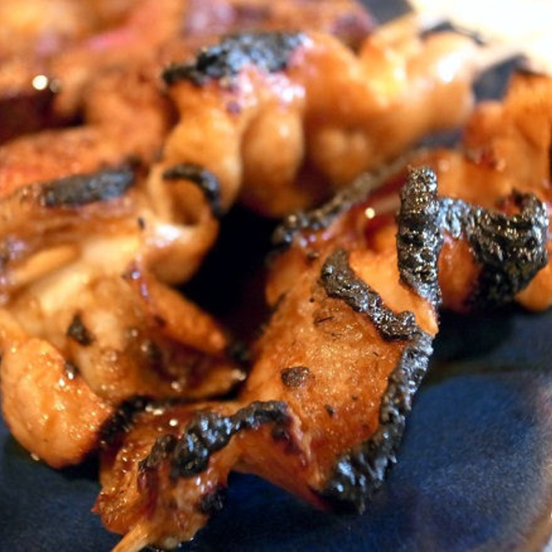 シロ(金ちゃん)