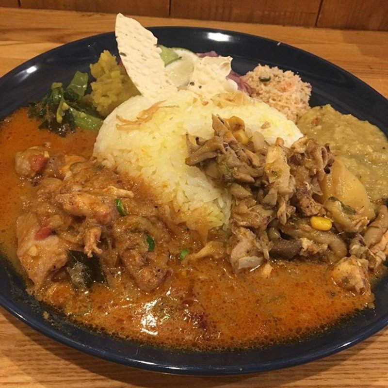 カレー2種(もつや長光)