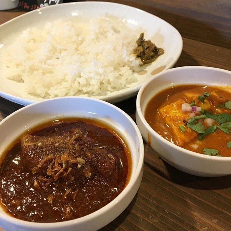 2種(Spice BAR 猫六)