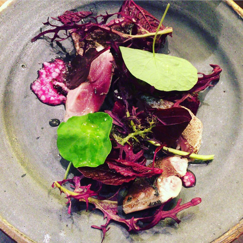 シメサバとビーツのサラダ(醸造科 oryzae)