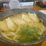 ごぼう天うどん(みの屋 本店)