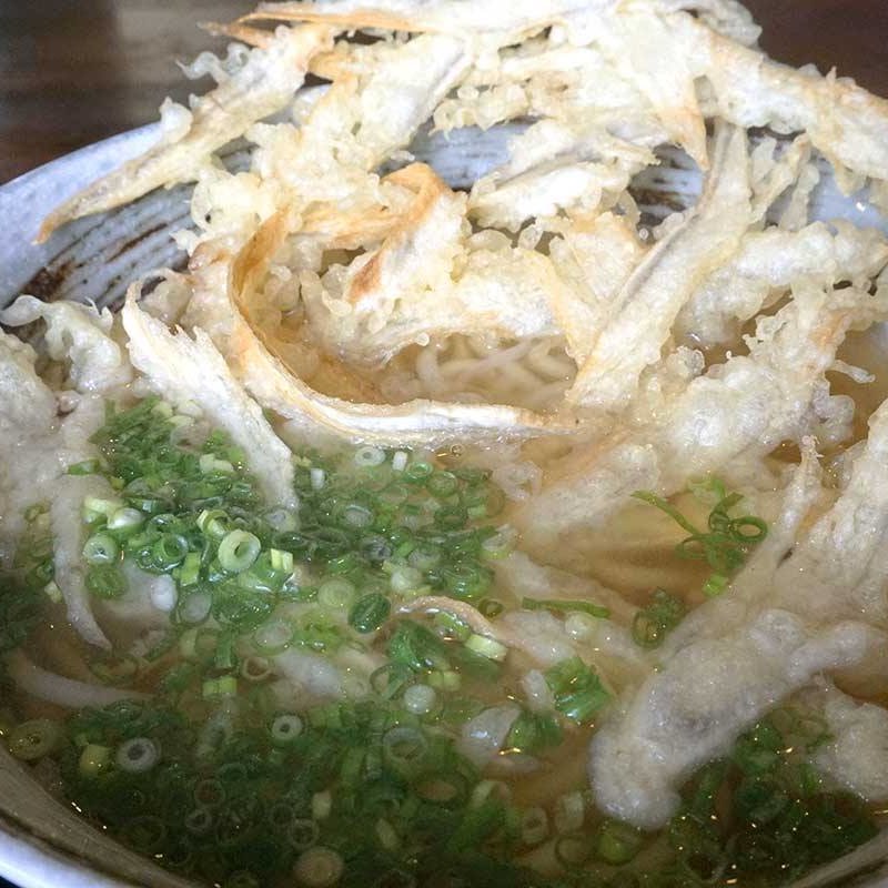 ごぼう天うどん(練り込みうどん 権)