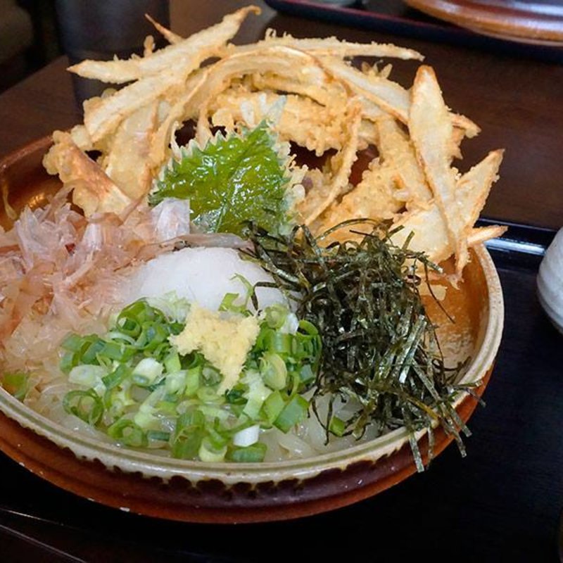 ごぼうおろしぶっかけ(大地のうどん 筑紫野店)